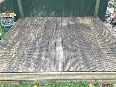 Timber decking covered in green algae before cleaning