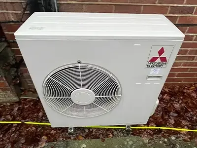 The same heat pump unit with the moss removed
