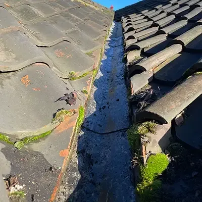 The same gutter cleared and free to drain