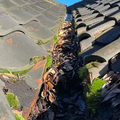 Roof gutter full of moss and debris before clearing
