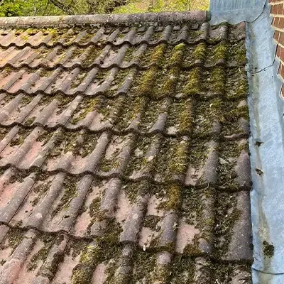 Concrete roof tiles covered in moss before roof cleaning