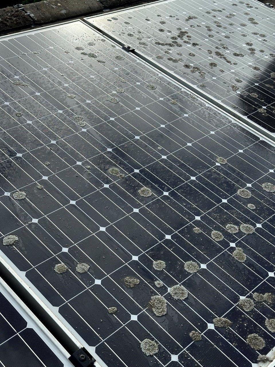 Dirty solar panels before cleaning