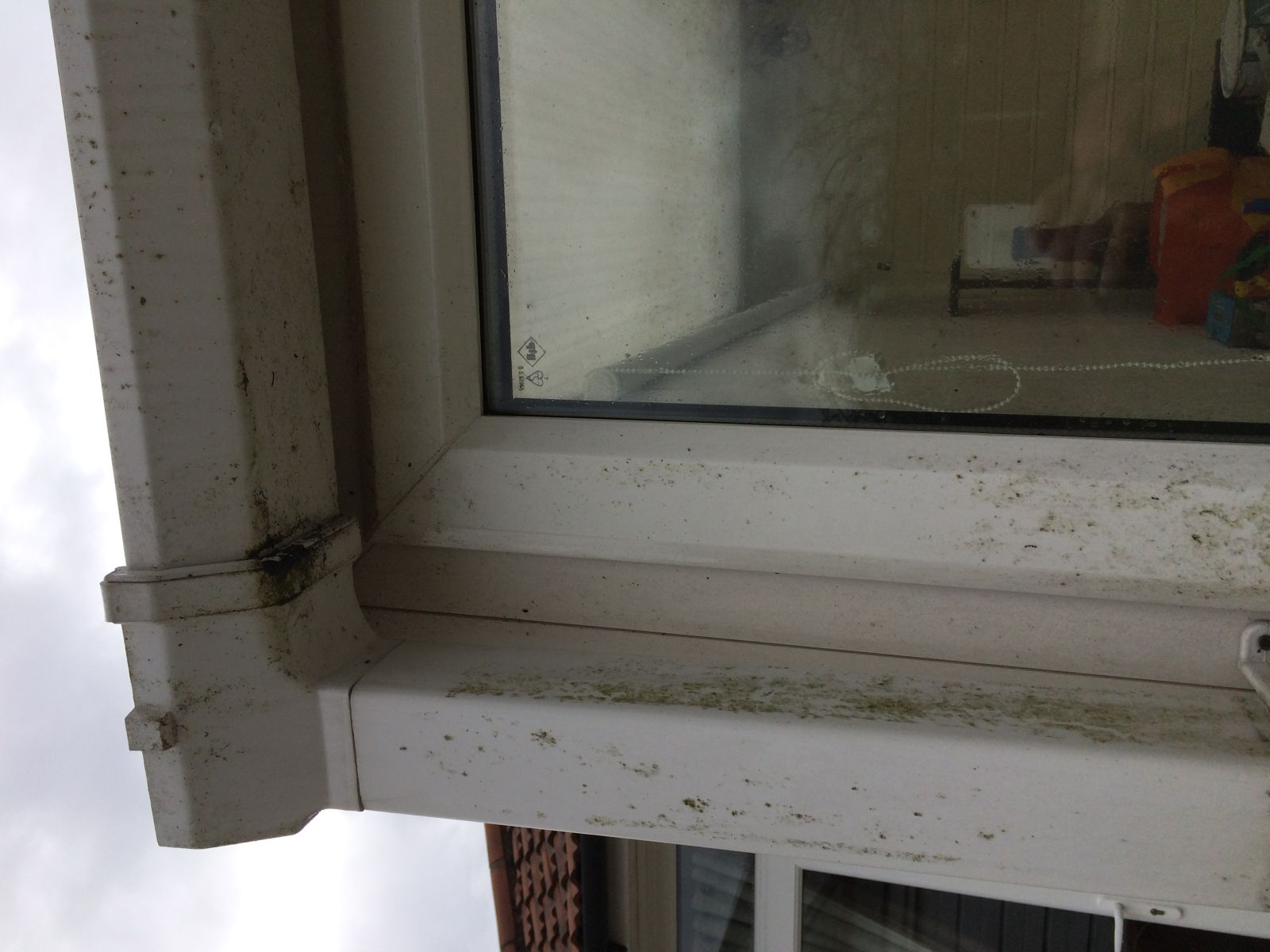 UPVC gutter and fascia on a conservatory before clearing